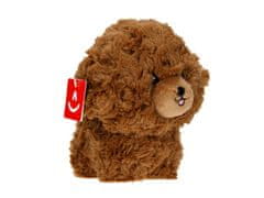 Carmotion Teddy Pets maskota, pudelj, rjava