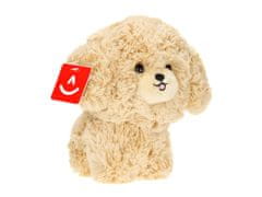 Carmotion Teddy Pets maskota, pudelj, zlata