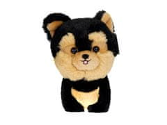 Carmotion maskota Teddy Pets, York