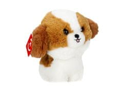 Carmotion maskota Teddy Pets, Shih Tzu