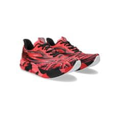 Asics Čevlji rdeča 42.5 EU Noosa Tri 15