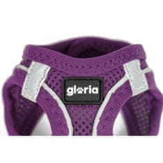 slomart Pas za psa Gloria Trek Star 24-26 cm 28-28,6 cm Vijoličasta XXS