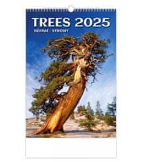 Stenski koledar 2025 - Drevesa / Bäume / Trees