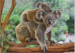 DoDo Puzzle Koala z dojenčkom 1000 kosov