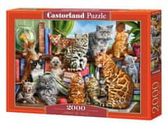 Castorland Puzzle - Mačja hiša 2000 kosov