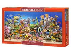 Castorland Puzzle - Podvodno življenje 4000 kosov