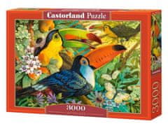 Castorland Puzzle - Tukani 3000 kosov