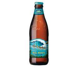 Kona Pivo Golden Ale Big Wave STK 0,355 l