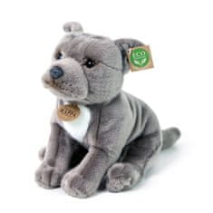 Rappa Staffordshire Bull Terrier 30 cm