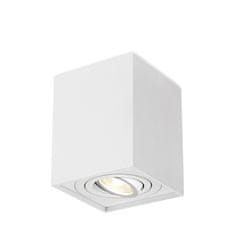 BRAYTRON GAMA 8010 SQR stropna svetilka GU10 bela