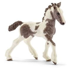 Schleich Horse Club 13774 Irish Tinker Horse - žrebiček