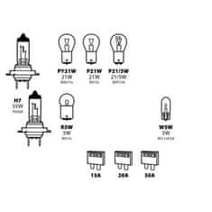 Cappa Komplet žarnic H7 - škatla 10