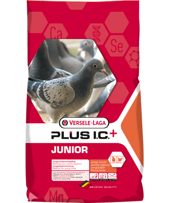 Versele Laga JUNIOR PLUS I.C. 20KG