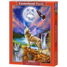 shumee Puzzle 1500 kosov Wolf Night 68 x 47 cm CASTORLAND