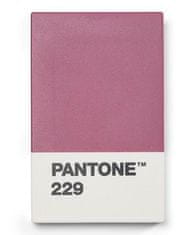 Pantone Darilni paket za vizitke - Aubergine 229