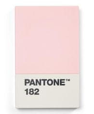 Pantone Darilni paket za vizitke - svetlo roza 182