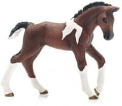 Schleich Horse Club 13758 Trakehner konj - žrebiček