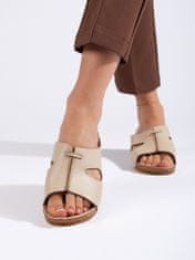 Amiatex Ženski sandal 108833, odtenki rjave in bež, 36