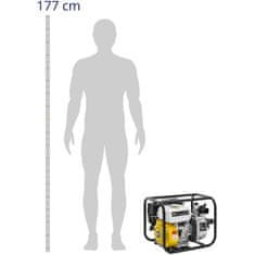 Noah Bencinska vodna črpalka 7 KM 3,6 l 25 m3/h