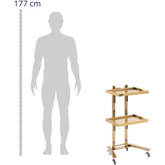 Noah Frizerski voziček kovinski kozmetični pomočnik 2 polici 40 x 86 x 50 cm - zlata