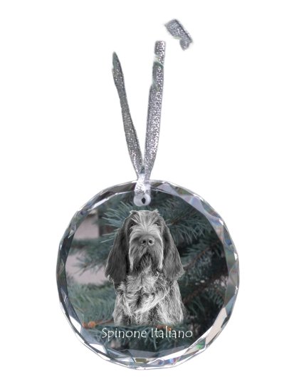 Artdog Italijanski Spinone, Spinone Italiano, Bracco Spinoso - kristalni okrasek s fotografijo, fotografija psa v kristalu, personaliziran okrasek za božično drevo znamke Art-Dog