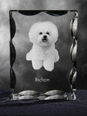 Artdog Bichon Frise, Bichon Tenerife, Bichon a poil frise - kristal s sliko psa, stekleni kipec s sliko, edinstven okvir s sliko znamke Art-Dog