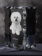 Artdog Bichon Frise, Bichon Tenerife, Bichon a poil frise - kristal s sliko psa, stekleni kipec s sliko, edinstven okvir s sliko znamke Art-Dog