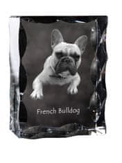 Artdog Francoski buldog, Frenchie - kristal s sliko psa, stekleni kipec s sliko, edinstven okvir s sliko blagovne znamke Art-Dog