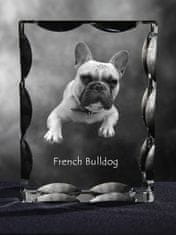 Artdog Francoski buldog, Frenchie - kristal s sliko psa, stekleni kipec s sliko, edinstven okvir s sliko blagovne znamke Art-Dog