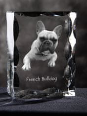 Artdog Francoski buldog, Frenchie - kristal s sliko psa, stekleni kipec s sliko, edinstven okvir s sliko blagovne znamke Art-Dog