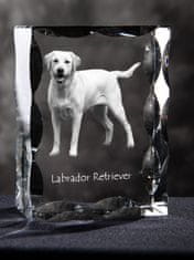 Artdog Labradorski retriever I - kristal s sliko psa, stekleni kipec s sliko, edinstven okvir s sliko blagovne znamke Art-Dog