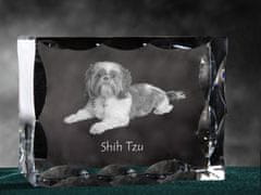 Artdog Shih Tzu, Chrysanthemum Dog - kristal s sliko psa, stekleni kipec s sliko, edinstven okvir s sliko blagovne znamke Art-Dog