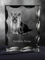 Artdog Yorkshire Terrier, Yorkie - kristal s sliko psa, stekleni kipec s sliko, edinstven okvir s sliko blagovne znamke Art-Dog