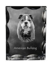 Artdog American Bulldog, Old Country Bulldog - kristal s sliko psa, stekleni kipec s sliko, edinstven okvir s sliko blagovne znamke Art-Dog