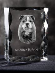 Artdog American Bulldog, Old Country Bulldog - kristal s sliko psa, stekleni kipec s sliko, edinstven okvir s sliko blagovne znamke Art-Dog