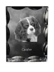 Artdog Cavalier King Charles Spaniel - kristal s sliko psa, stekleni kipec s sliko, edinstven okvir s sliko blagovne znamke Art-Dog