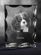 Artdog Cavalier King Charles Spaniel - kristal s sliko psa, stekleni kipec s sliko, edinstven okvir s sliko blagovne znamke Art-Dog