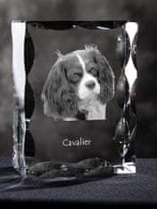 Artdog Cavalier King Charles Spaniel - kristal s sliko psa, stekleni kipec s sliko, edinstven okvir s sliko blagovne znamke Art-Dog