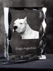 Artdog Dogo Argentino - kristal s sliko psa, stekleni kipec s sliko, edinstven okvir s sliko blagovne znamke Art-Dog