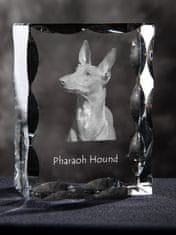 Artdog Pharaoh Hound, Kelb tal-Fenek - kristal s sliko psa, stekleni kipec s sliko, edinstven okvir s sliko blagovne znamke Art-Dog