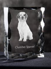 Artdog Clumber Spaniel - kristal s sliko psa, stekleni kipec s sliko, edinstven okvir s sliko blagovne znamke Art-Dog