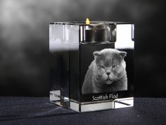 Artdog Scottish Fold - Svečnik s fotografijo mačke, kristalni držalo za čajno svečko, personalizirano darilo blagovne znamke Art-Dog