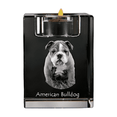 Artdog American Bulldog, Old Country Bulldog - Svečnik s fotografijo psa, kristalni čajnik, personalizirano darilo blagovne znamke Art-Dog