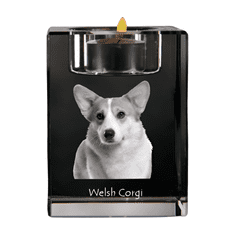 Artdog Pembroke Welsh Corgi - Svečnik s pasjo fotografijo, kristalni čajnik, personalizirano darilo znamke Art-Dog