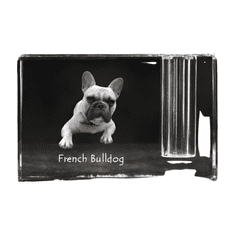 Artdog Francoski buldog, Frenchie - Stojalo za pisala, kristalni organizator s pasjo fotografijo, edinstvena namizna dekoracija znamke Art-Dog