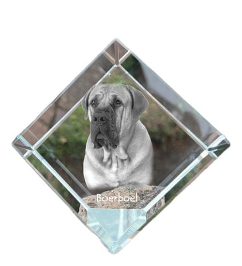 Artdog Boerboel, južnoafriški mastif - kristalna kocka s fotografijo, fotografija konja v kristalu, kockasta tehtnica znamke Art-Dog