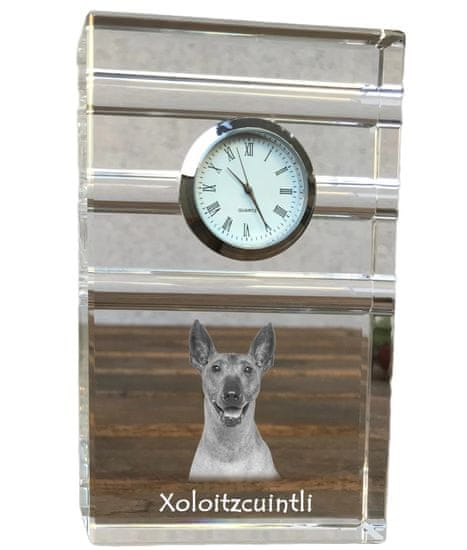 Artdog Xoloitzcuintle, mehiški pes brez dlake, Xoloitzquintle - steklena ura s fotografijo, fotografija psa v kristalu, personalizirana stoječa pisarniška ura znamke Art-Dog