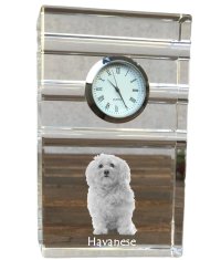 Artdog Havanese, Havanese Cuban Bichon, Bichón Havanés - steklena ura s fotografijo, fotografija psa v kristalu, personalizirana stoječa pisarniška ura znamke Art-Dog