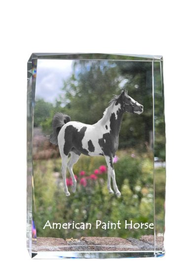 Artdog American Paint Horse - kristal s sliko konja, fotografija v steklu, sodobna razstava fotografij blagovne znamke Art-Dog