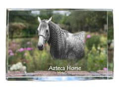 Artdog Azteca Horse - kristal s sliko konja, fotografija v steklu, sodobna razstava fotografij blagovne znamke Art-Dog